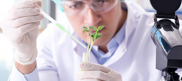Yes, with bsc biotech you may get placement as research/technical assistant in pharmaceutical industries, agriculture, veterinary , medical sector through . Bsc Biotechnology Botany Chemistry Galaxy Education