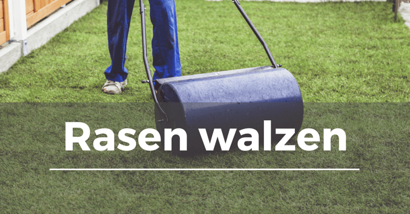 Wann soll man den rasen walzen? Rasen walzen - Garten.Schule