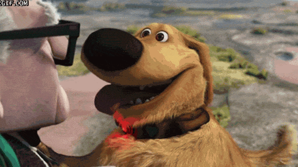 dog to english translator