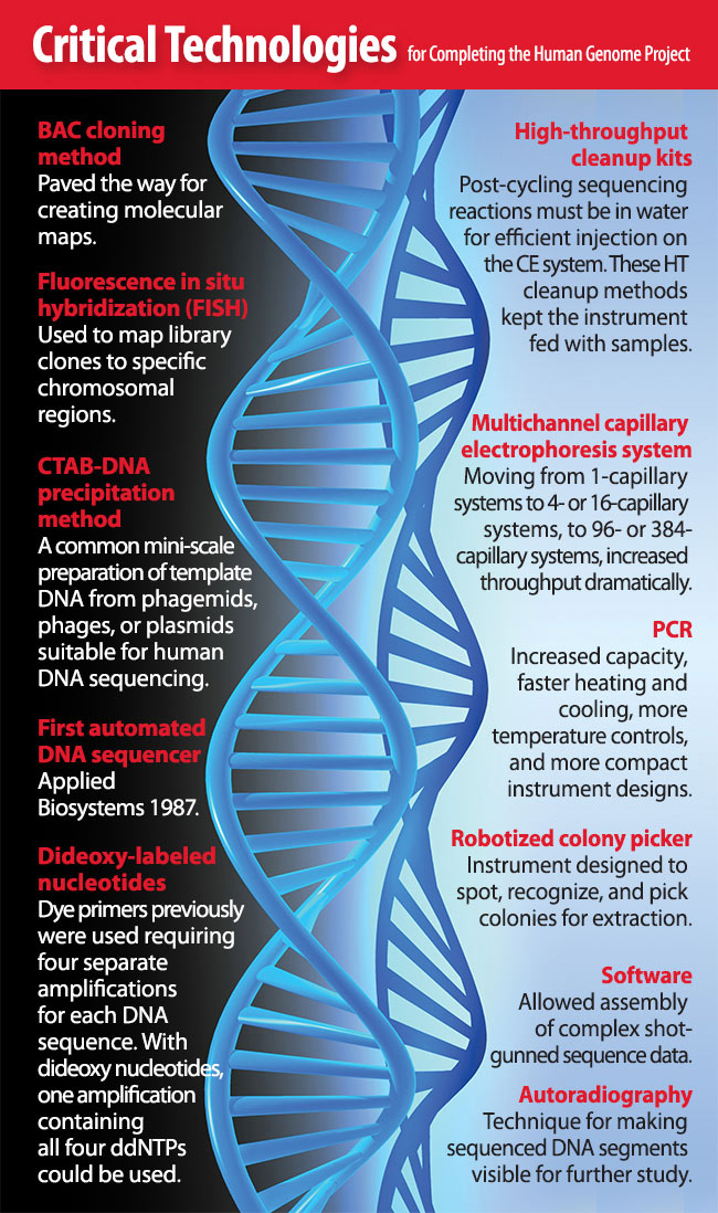 More formally, the areas to be addressed are mendelian genetics, human genetics, molecular genetics, . Infographic Critical Technologies For Completing The Human Genome Project