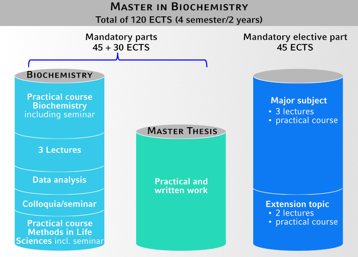 Our trainees are well prepared for … Master Biochemistry Gene Center Munich Lmu Munich