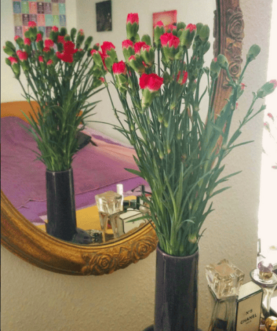 flowers,spring is here,denmark horsens, clove pink,carnation,glamthug blog