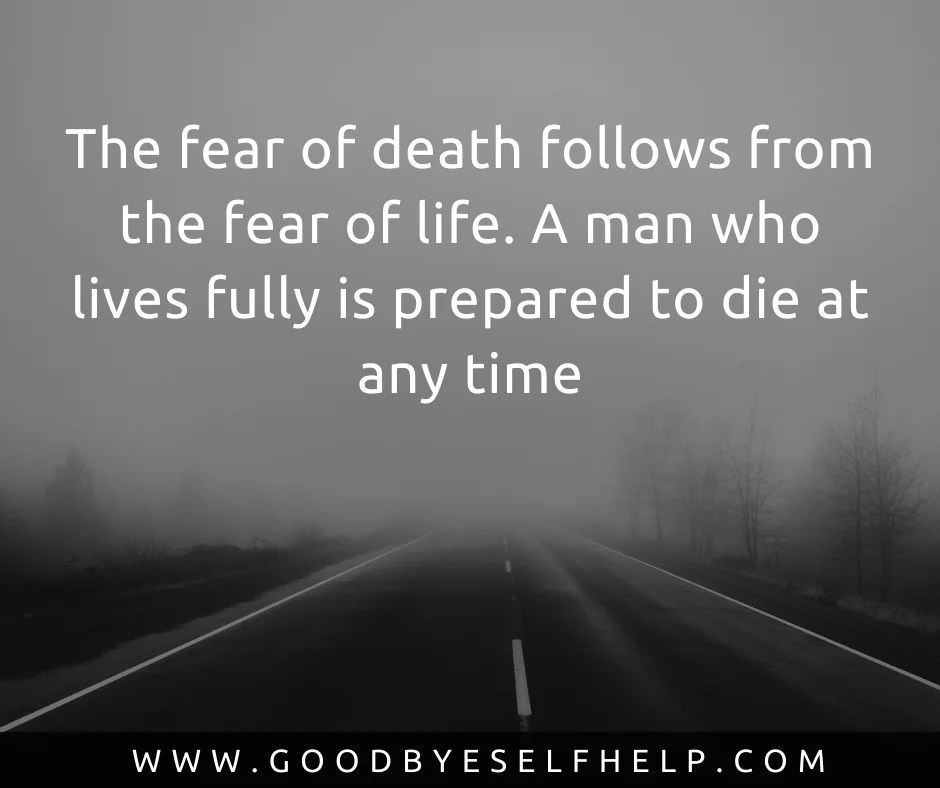 Except a creature be part coward it is not a compliment to say it is . 41 No Fear Quotes Totally Inspirational Goodbye Self Help