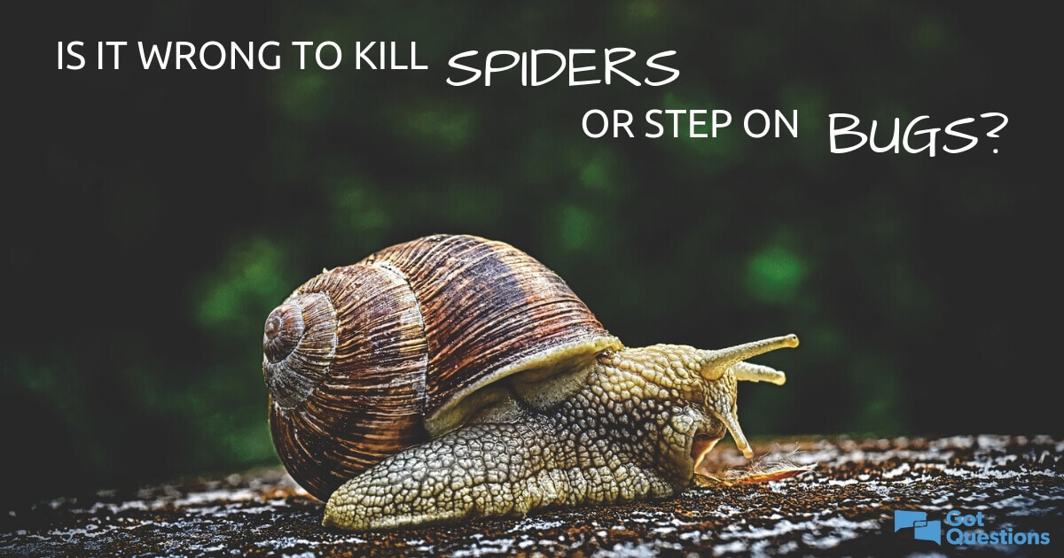 Bad breath is a common problem — everyone has it from time to time. Is it wrong to kill spiders or step on bugs