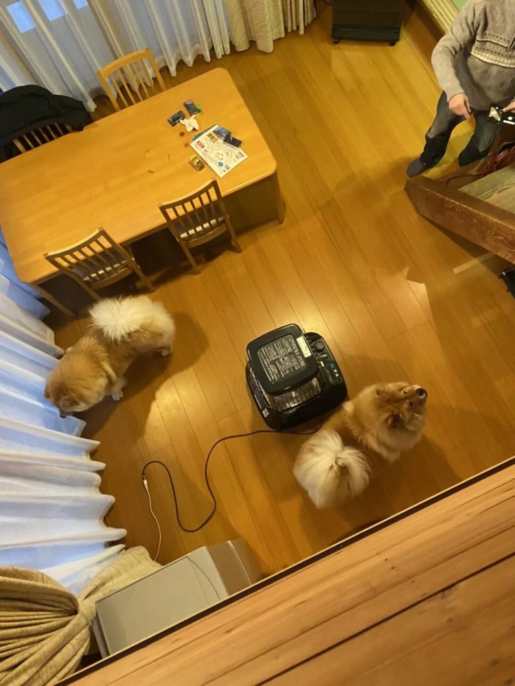 蓼科わんパラコテージ内