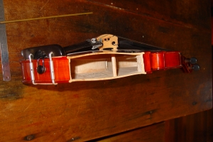 Set-up of the Violin