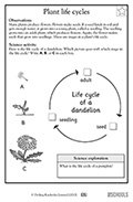 1st grade science worksheets on plant life parenting