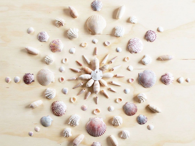45 Inspirational Sea Shell Craft Diy Ideas Greenorc