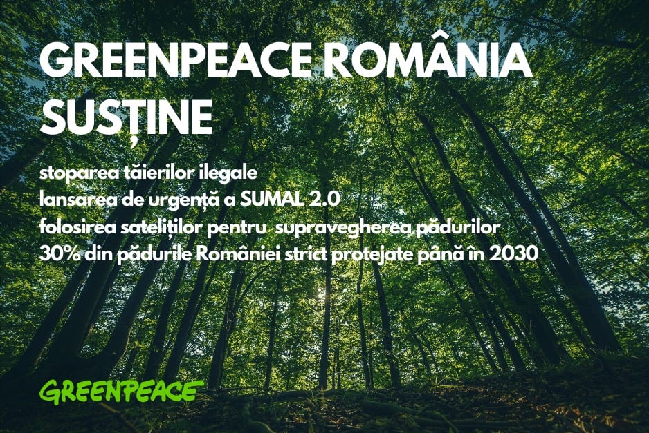 These organizations can help connect you with the resources you need and bring you up to date on research into the causes and treatments for als. Logic Punete Cu Cersetor Ce Rol Are Padurea In Viata Omului Pizzaesbjerg Com