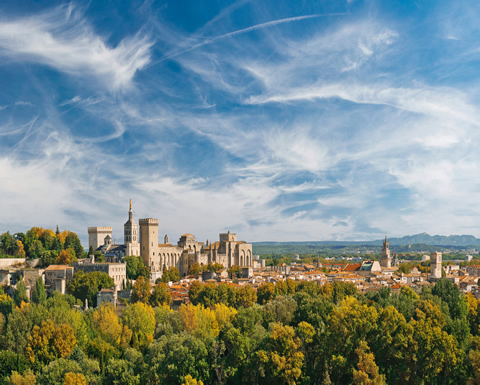 Location bus Avignon, minibus avec chauffeur