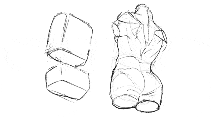 Drawing, 3d modeling and texture photo reference as well as figure drawing, environment textures. How To Draw The Female Torso An In Depth Guide Gvaat S Workshop