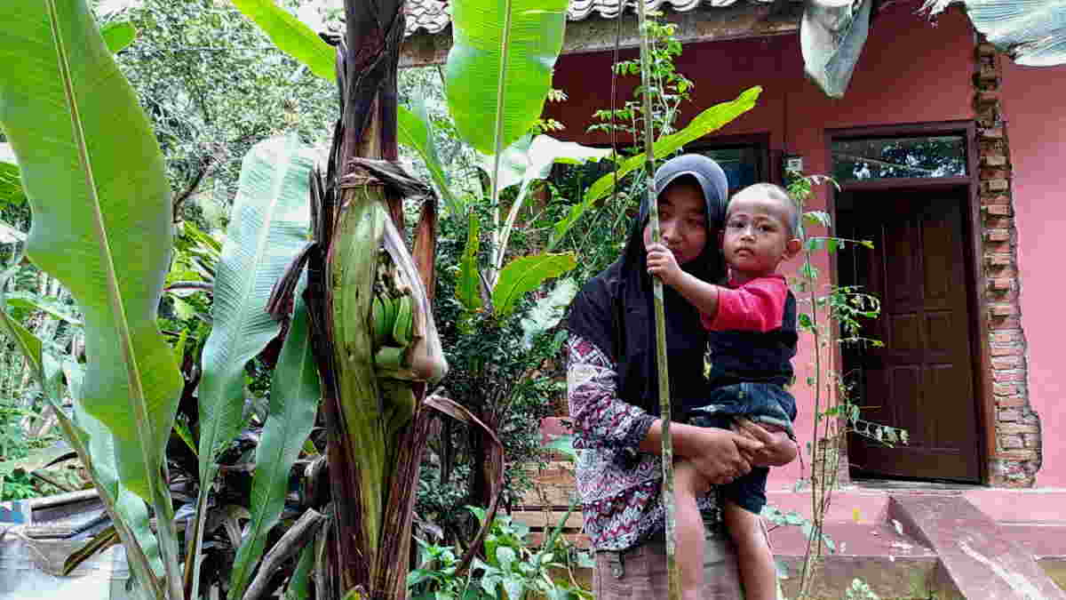 Unik! Pohon Pisang di Ciamis Ini Mirip Ibu Hamil, Berbuah di Tengah Batang  - Harapan Rakyat Online