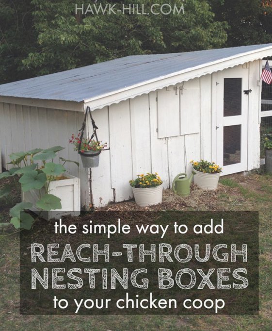 Adding Reach-Through Nesting Boxes to a Vintage Chicken ...