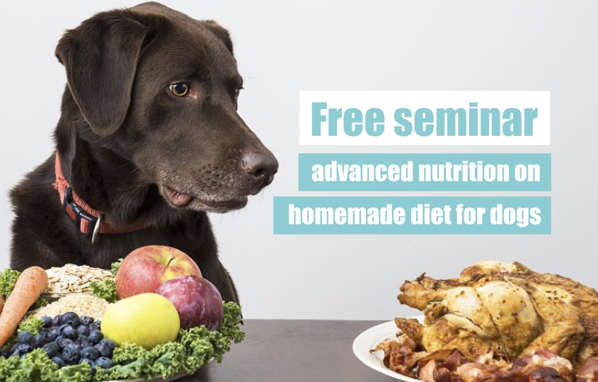 I made my diabetic dog this homemade recipe from 2008 to 2016. Free seminar: advanced nutrition on homemade diet for dogs