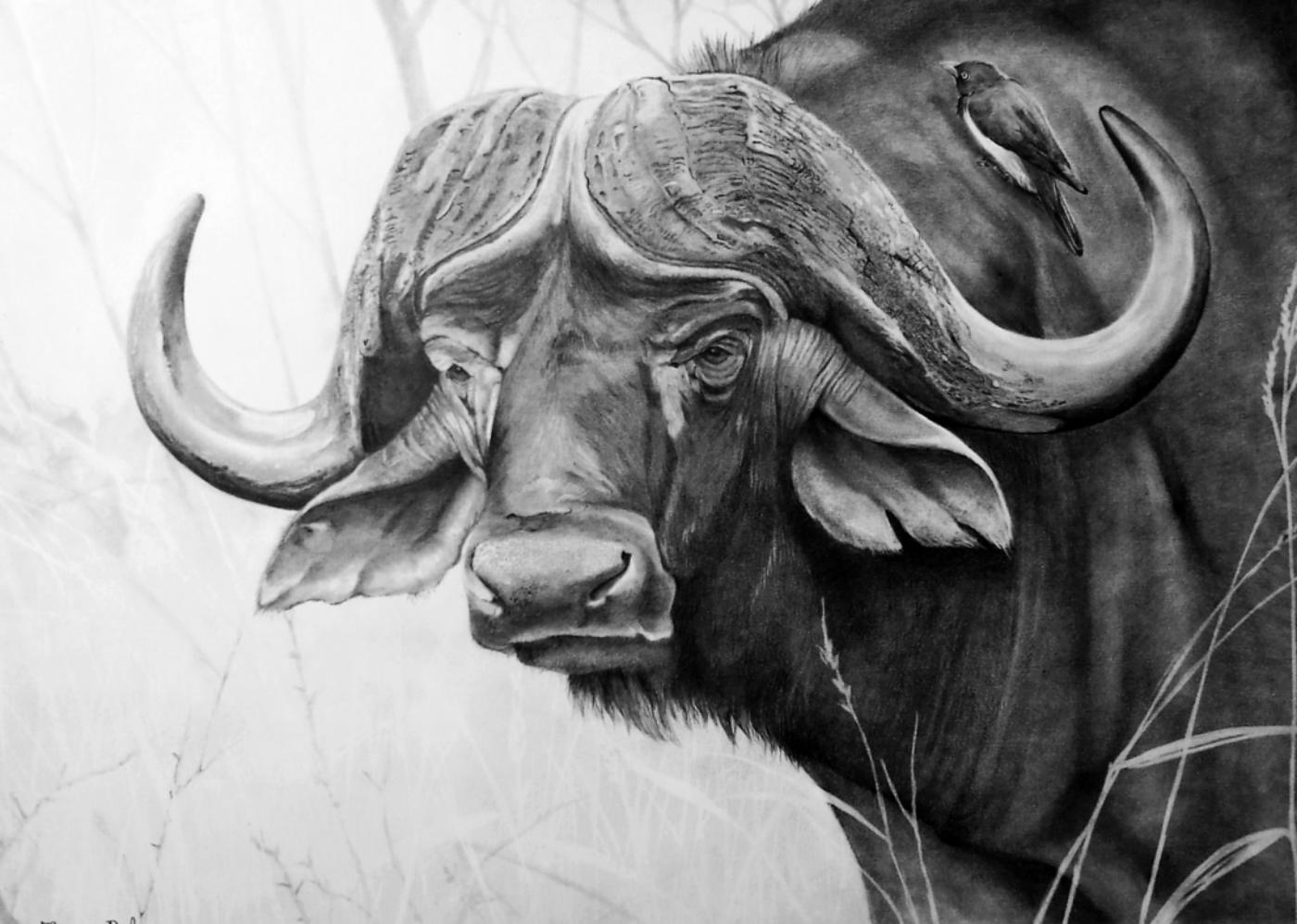 Schilderij Wilde Dieren
