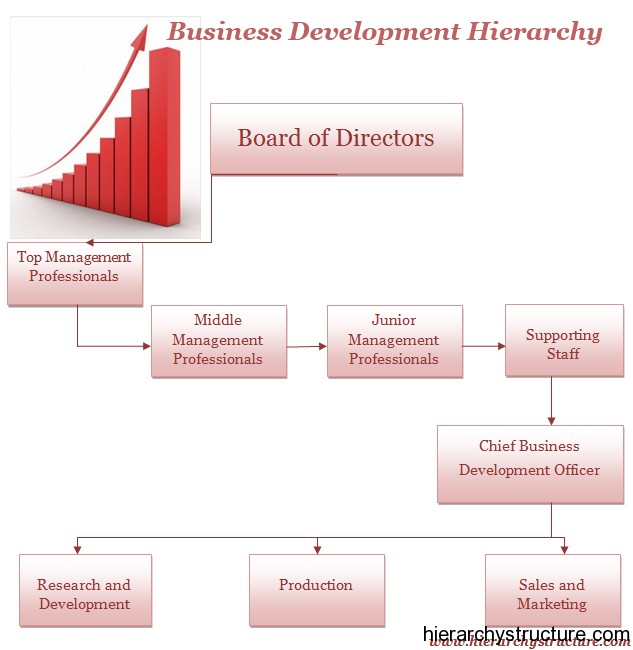 Business development can be taken to . Business Development Hierarchy Chart Hierarchystructure Com