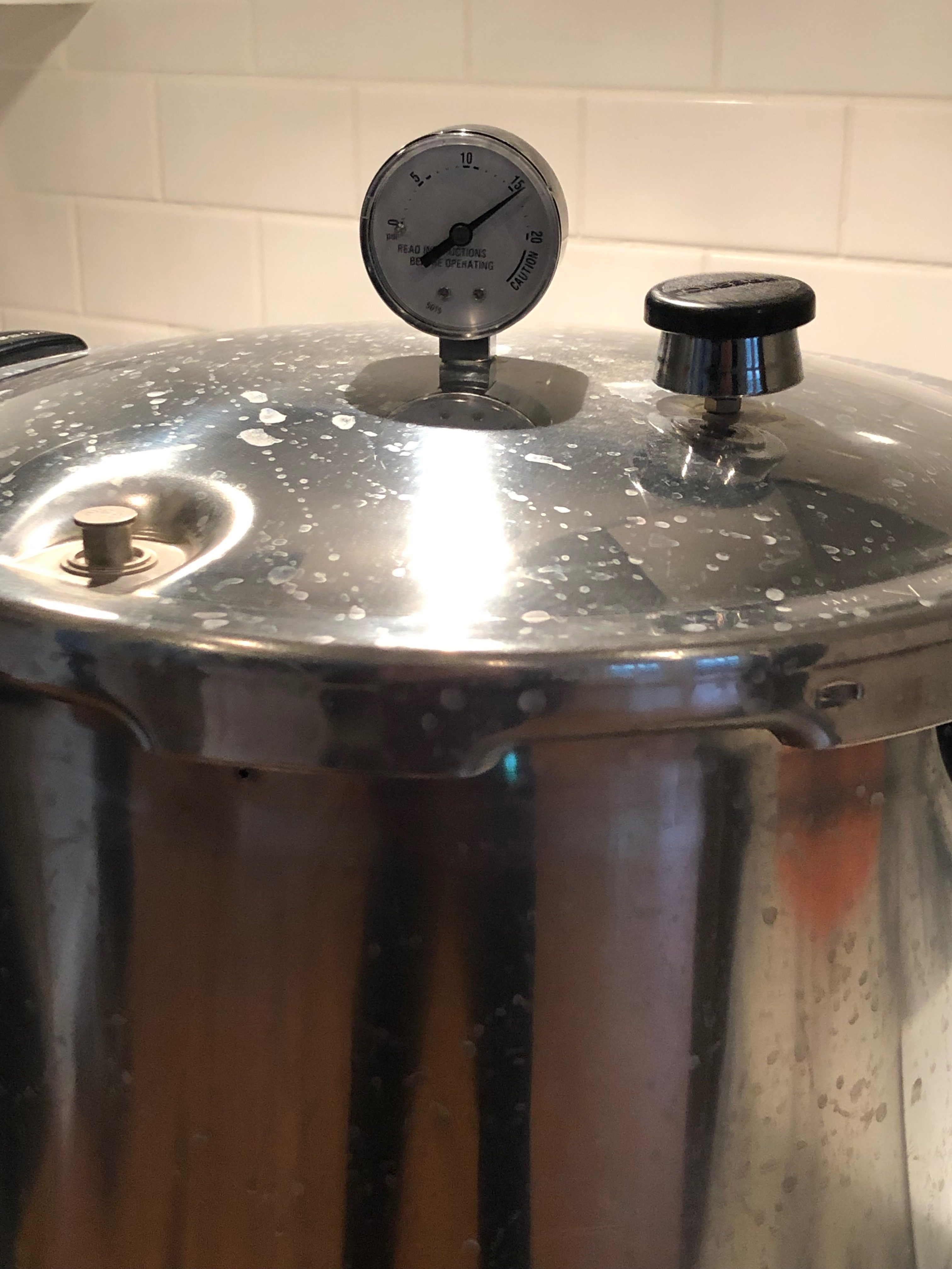 Making Multiple Yeast Starters in a Pressure Canner Homebrew Notes