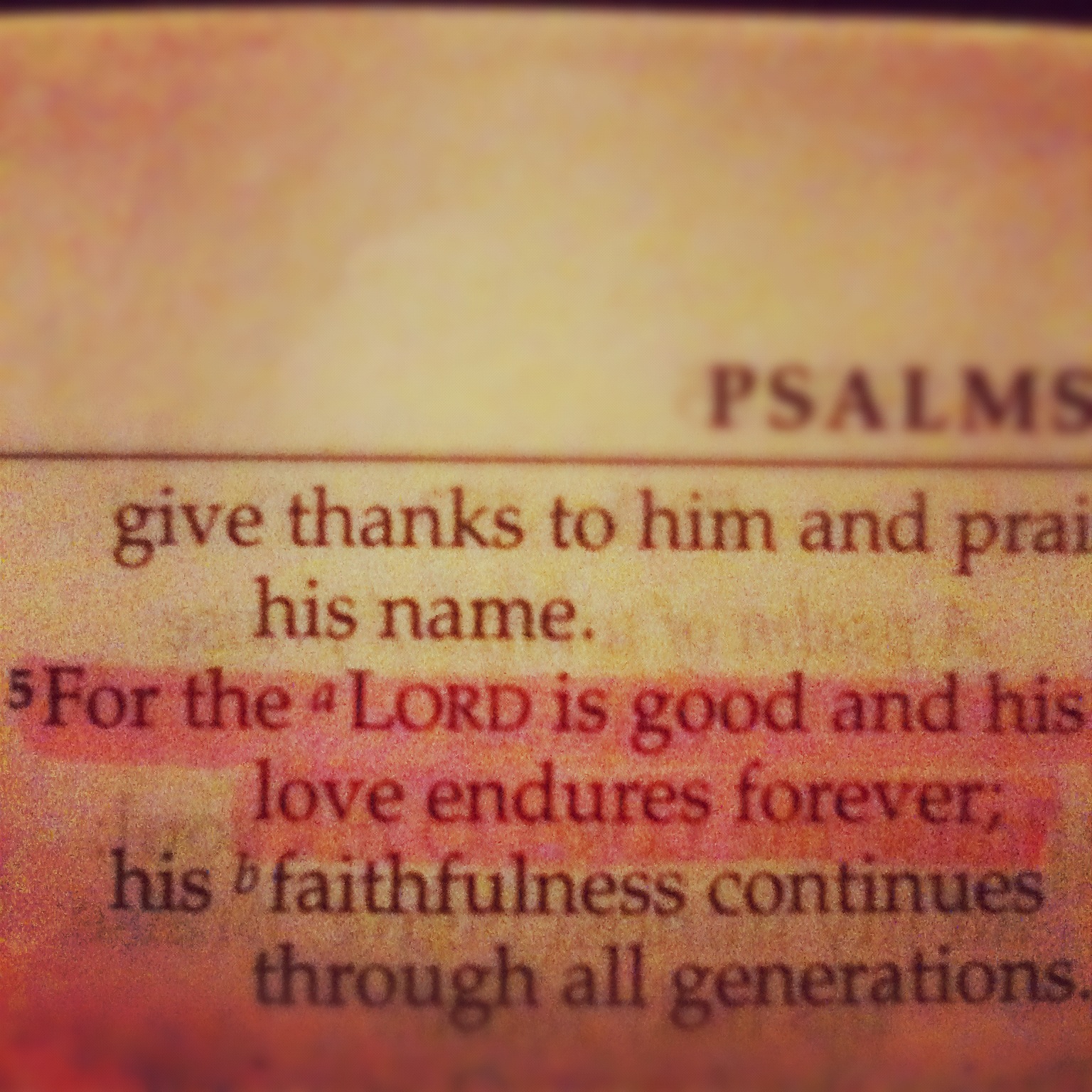 psalm-101-5
