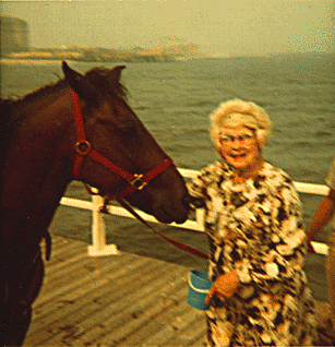 It occurs most commonly in the legs. Diving Horses. - Horse and Man