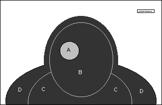 hsc computer printable targets