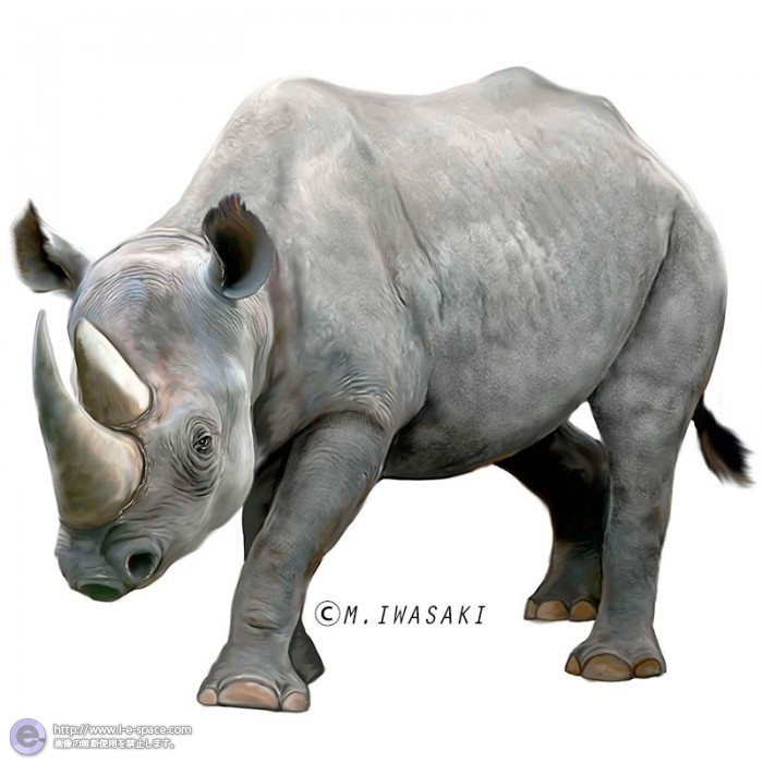 pic 小動物 イラスト リアル åç©ãªã¢ã«ã¤ã©ã¹ã åå®ã¨ãµã¤ã¨å¥è¹ç®ãµã¤ç§'ã¨ã¯ããµã¤ã¨ã·ããµã¤ã®ã¤ã©ã¹ã ã¤ã©ã¹ãã¬ã¼ã¿ã¼æ¤ç´¢ illustrator e space
