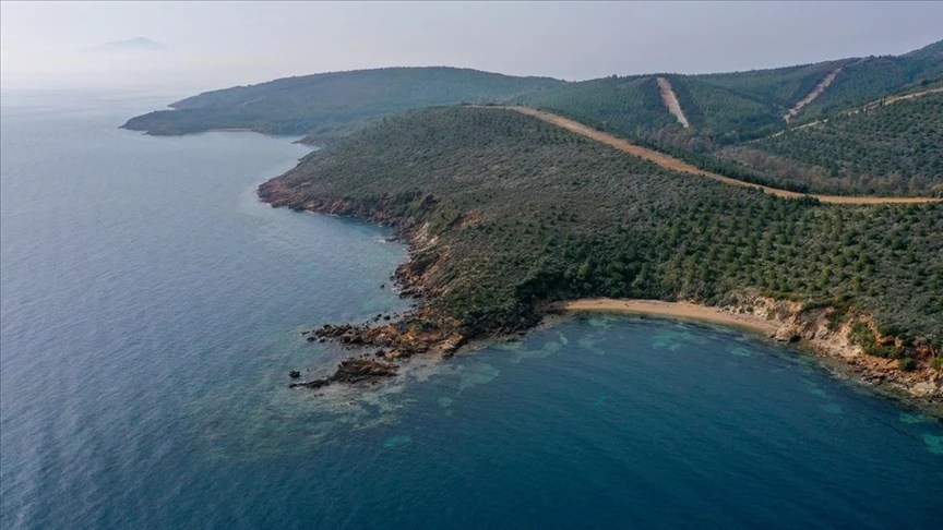 Denize Komşu Ormanlarda Madencilik Faaliyetinin Önü Açıldı! Denize Komşu Ormanlarda Madencilik Faaliyetinin Önü Açıldı!