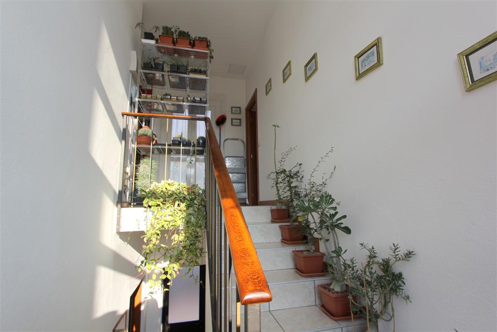 Piante Per Scale Interne
