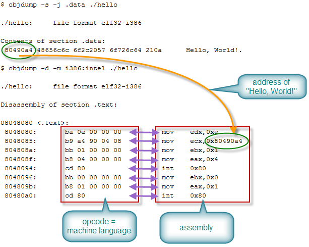 Bahasa assembly sebenarnya sangat sederhana, tapi butuh pengetahuan. Belajar Assembly Di Linux Ilmu Hacking
