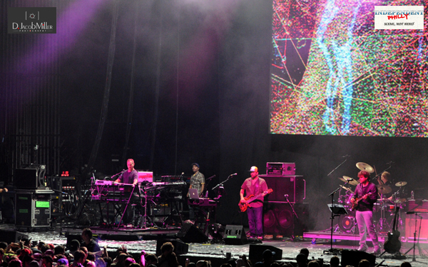 Disco Biscuits 2
