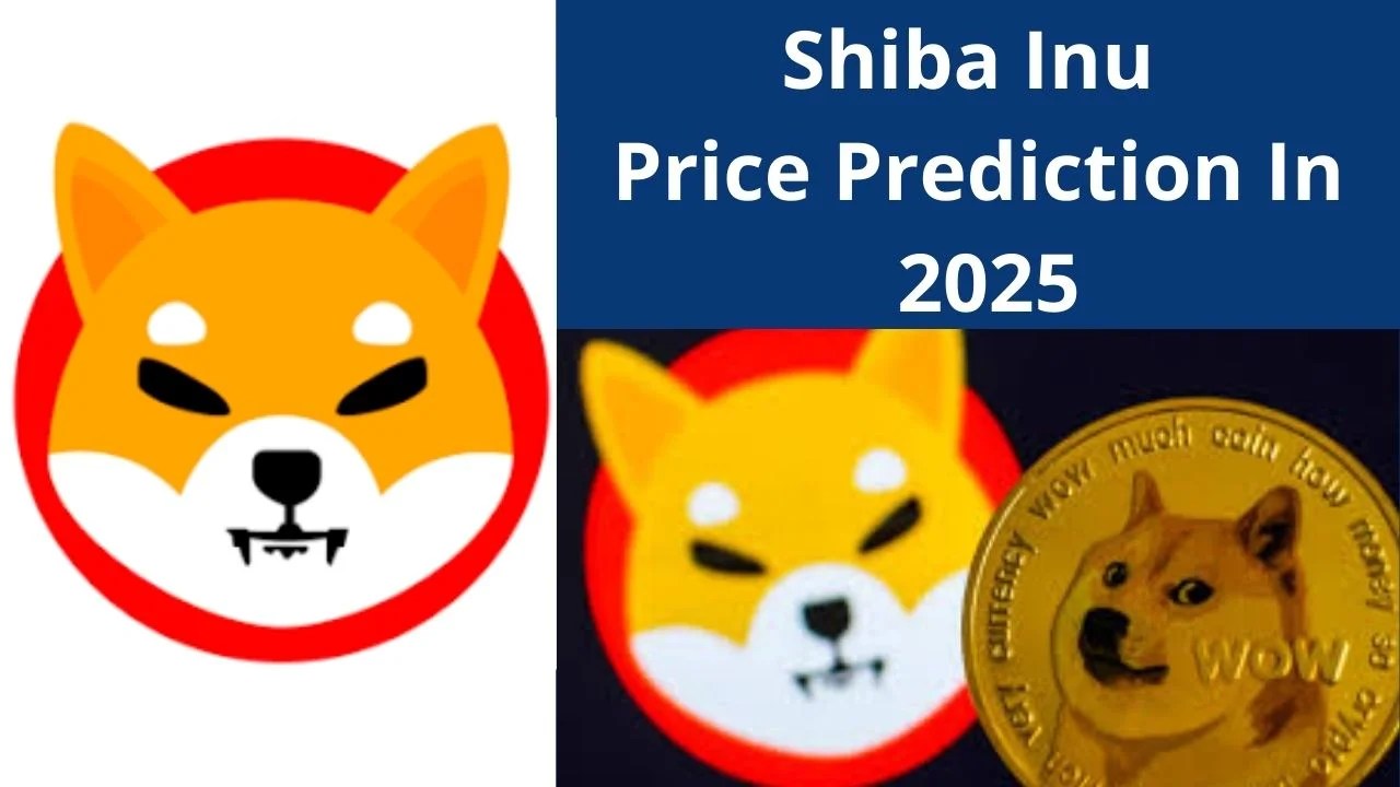 With shiba inu's developers still working on their metaverse and decentralized exchange, and shiba inu's community expected to grow . Shiba Inu Price Prediction In 2025 Step By Step Guide