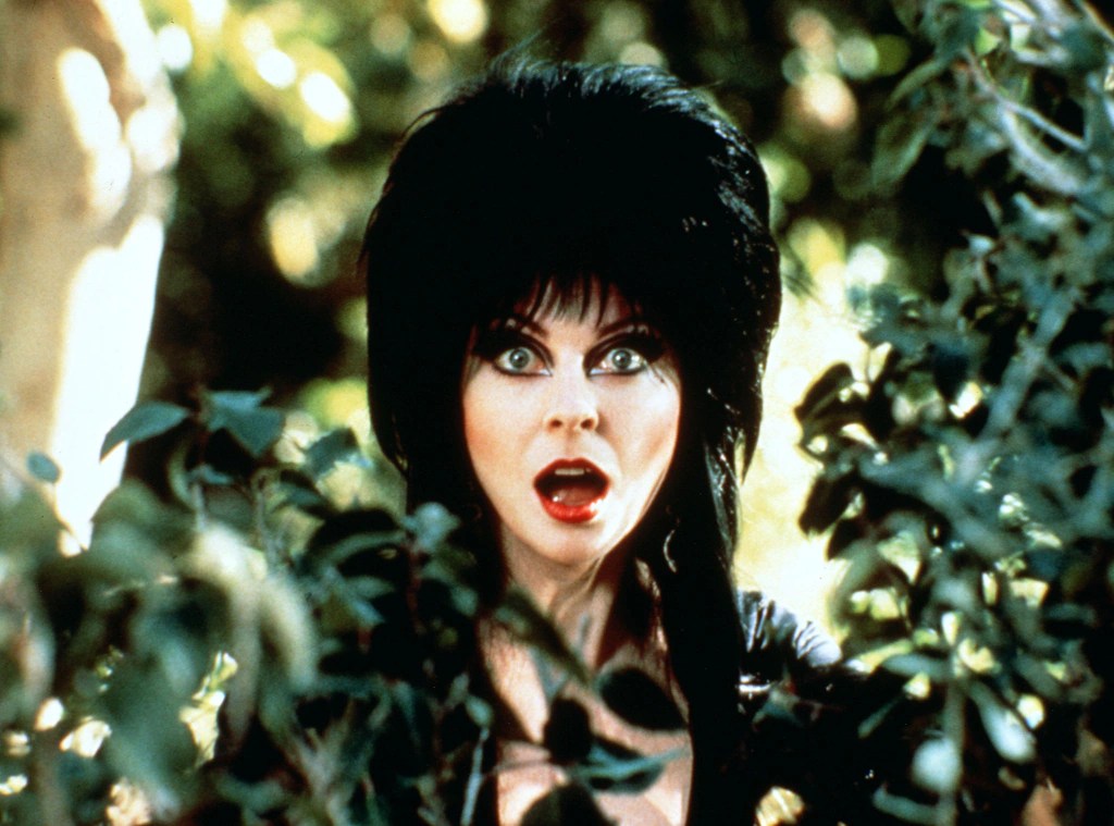 elvira net worth - Ilustrasi 2