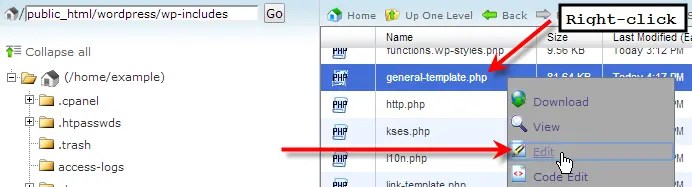 On this page, locate the active theme (twenty nineteen in our case) and click on customize . How to Change your WordPress admin URL with Lockdown WP Admin - InMotion Hosting Support Center