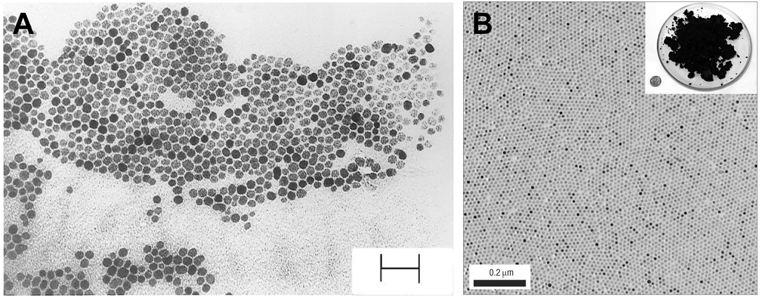 Currently, there are many methods for the synthesis of manganese oxide nanoparticles. Targeted Magnetic Iron Oxide Nanoparticles for Tumor
