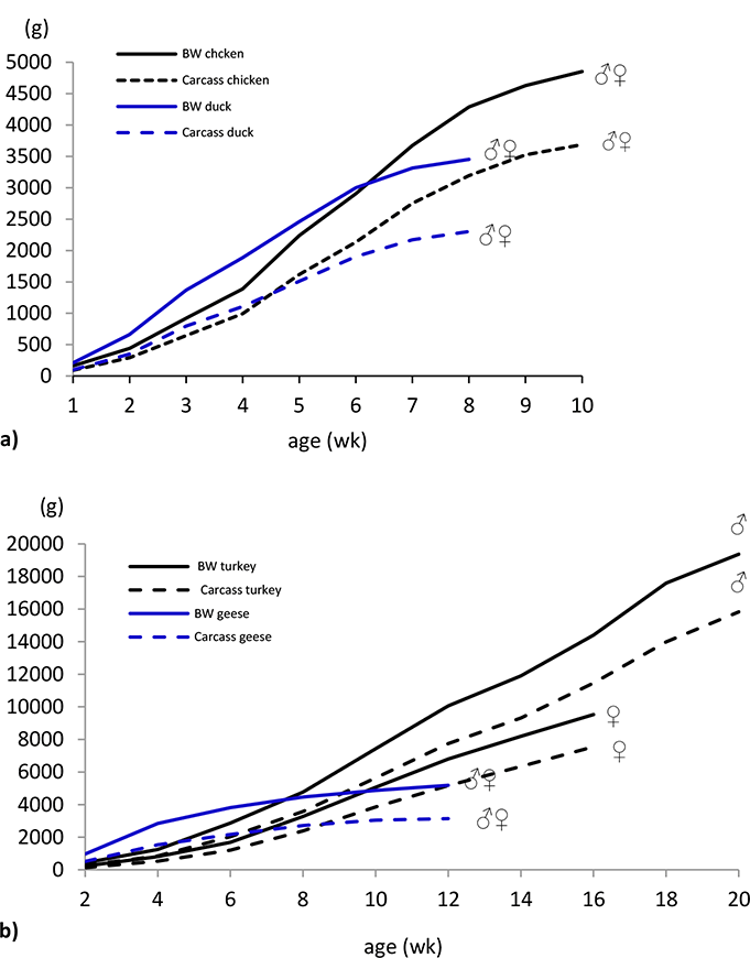 The entire laying process takes about 25 to 26 hours per egg, and once it … The Effect Of Age On Growth Performance And Carcass Quality Parameters In Different Poultry Species Intechopen