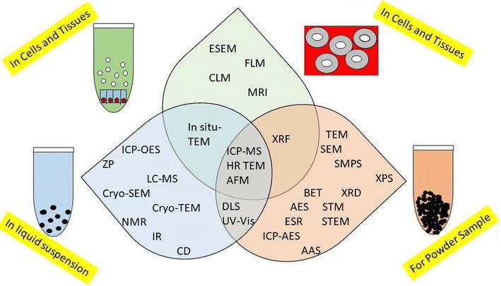 Hemoglobin is the part of blood that carries oxygen through your body. Challenges For Assessing Toxicity Of Nanomaterials Intechopen