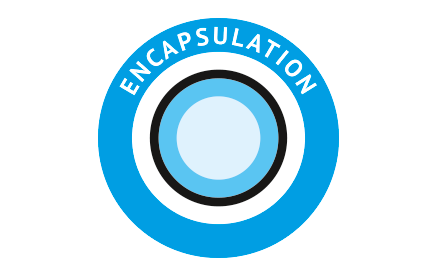 The act of enclosing in a capsule; Verkapselung - IPC Dresden DE