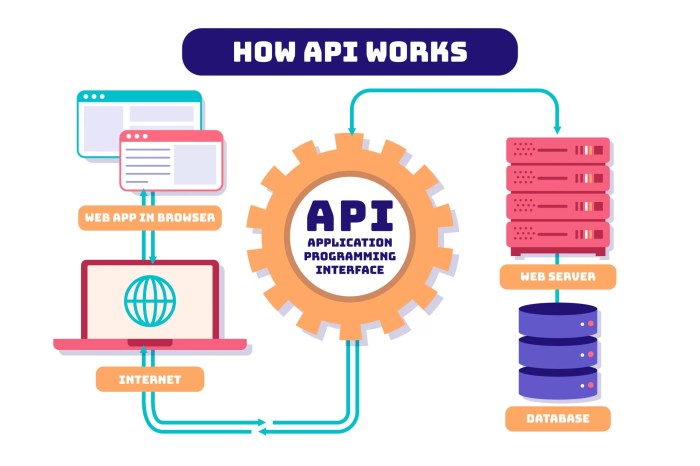api api