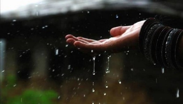 Gambar hujan angin bergerak paling bagus. Ini Manfaat Luar Biasa Dari Air Hujan Bagi Kesehatan