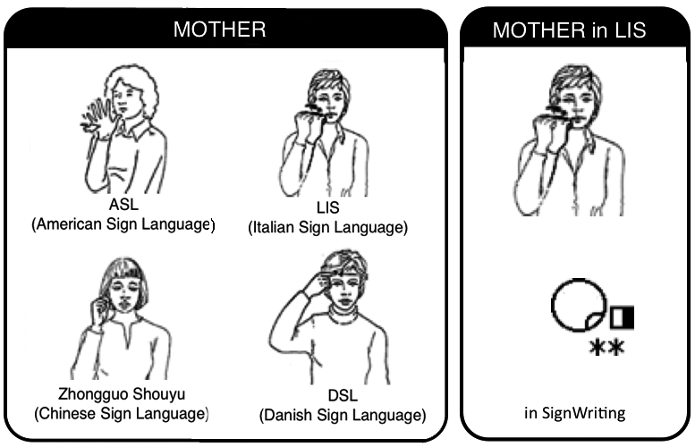 Studies in linguistics, occasional papers, no. Is Sign Language Universal Istituto Di Scienze E Tecnologie Della Cognizione