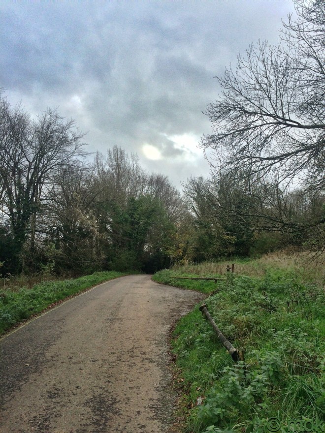 Shawford, dung fungi and a tragic bridge I Walk Alone