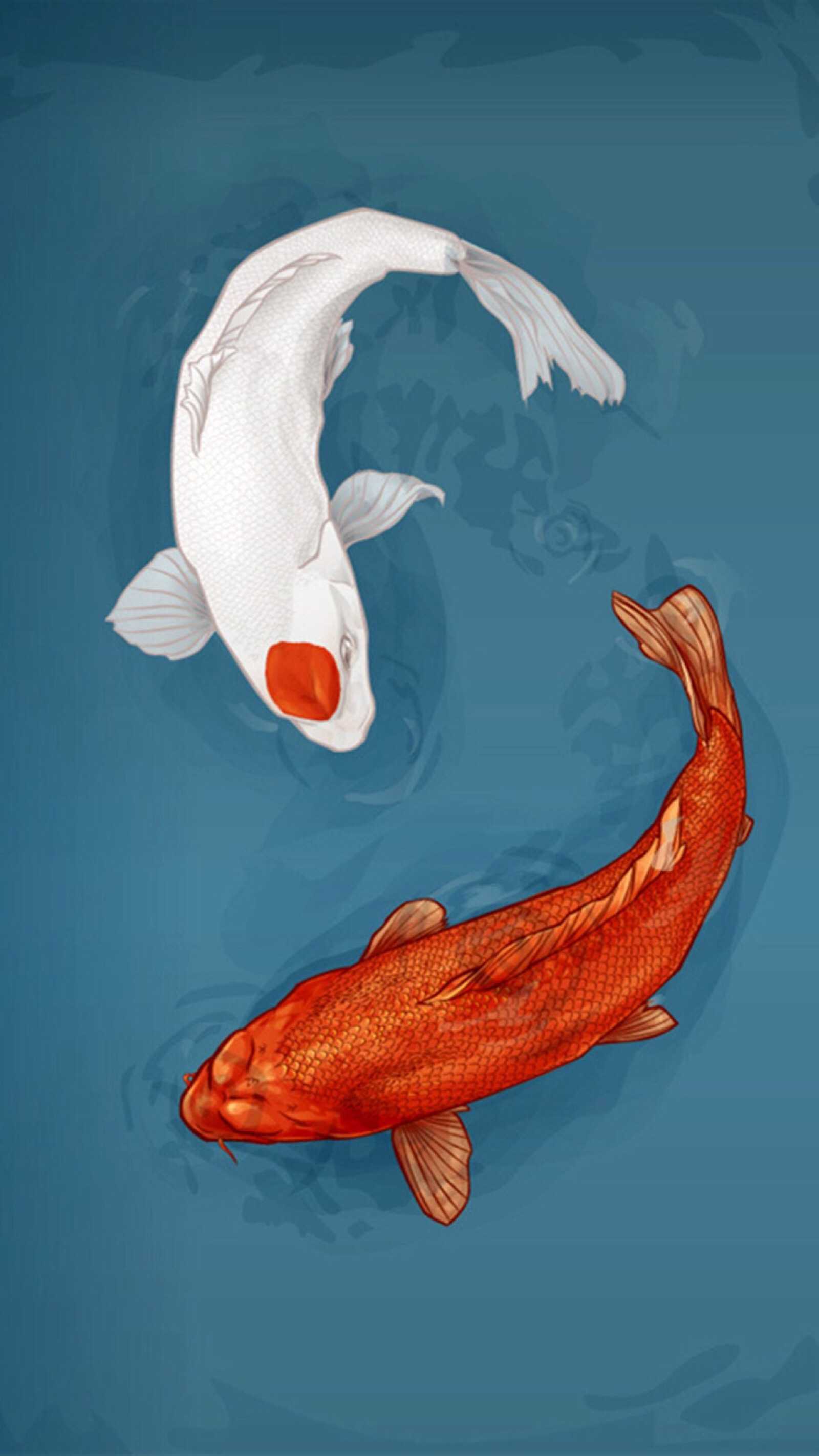 Free online hd download of koi fish wallpapers. Koi Fish Wallpapers Ixpap