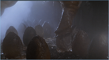 Sir ridley scott (born 30 november 1937) is an english film director and producer. Biomechanical Insect