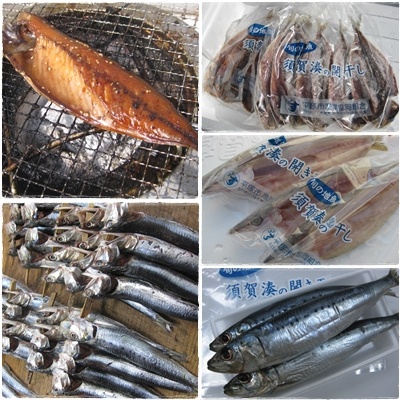 須賀湊の開き干し 干物 平塚市漁業協同組合 須賀湊の開き干し 干物 平塚市漁業協同組合