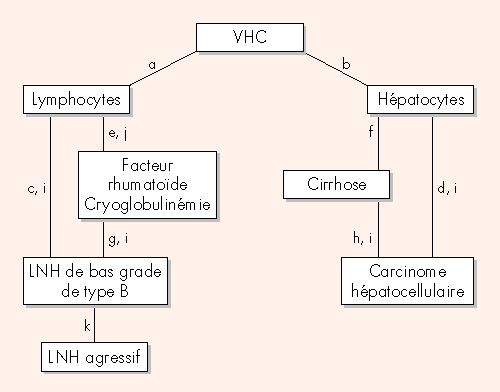 John Libbey Eurotext - Hématologie - Lymphomes non hodgkiniens et virus de  l’hépatite C