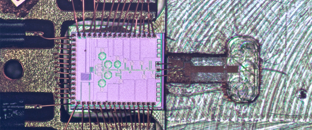 Това са първите молекулярни часовници върху чипа за работата на