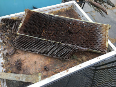 This is what happens when you place a shallow frame into a deep ...