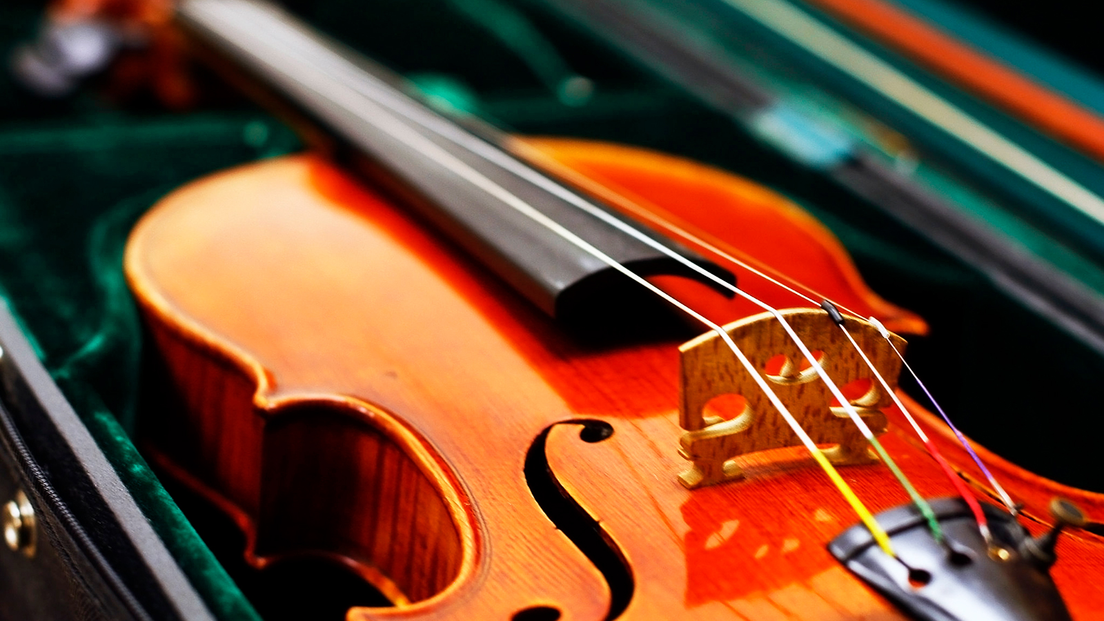 Musical String Instrument on ebay Seriously, We Have Musical String