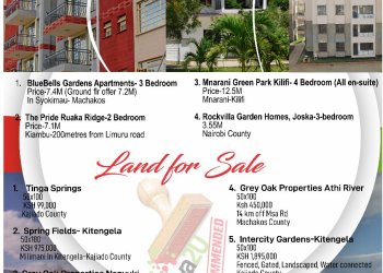PLOTS & APARTMENTS FOR SALE