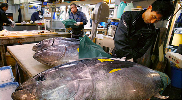 China Retracts on Threat to Engage Kenya in Trade War