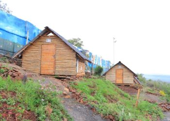 SHAMS CAMP